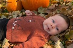 Fall Photo Shoot Nov 7th